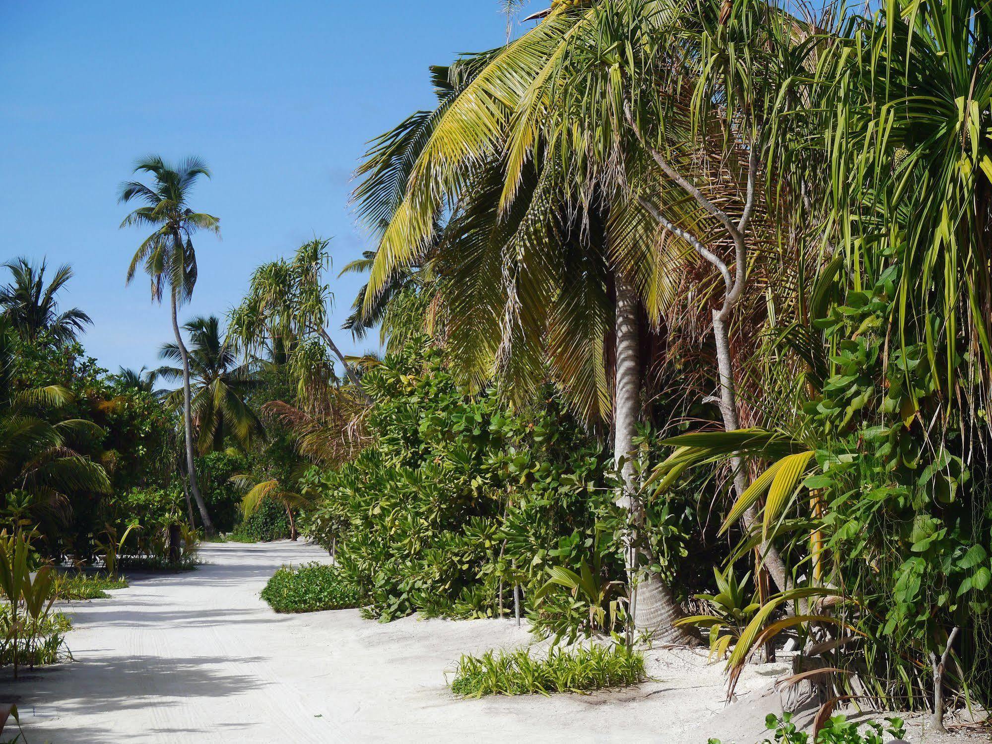 The Residence Maldives Dhigurah  Buitenkant foto